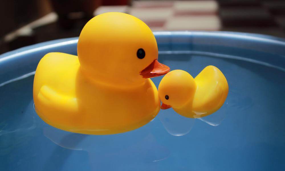 two rubber ducks in water