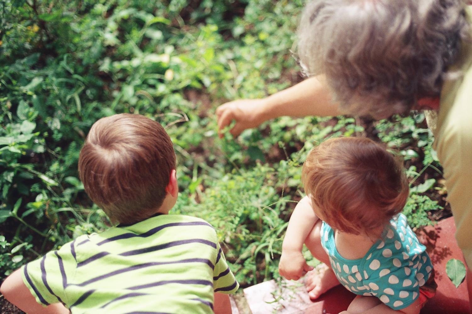 two young children and a grandmother or older caretaker are observing something in the garden.
