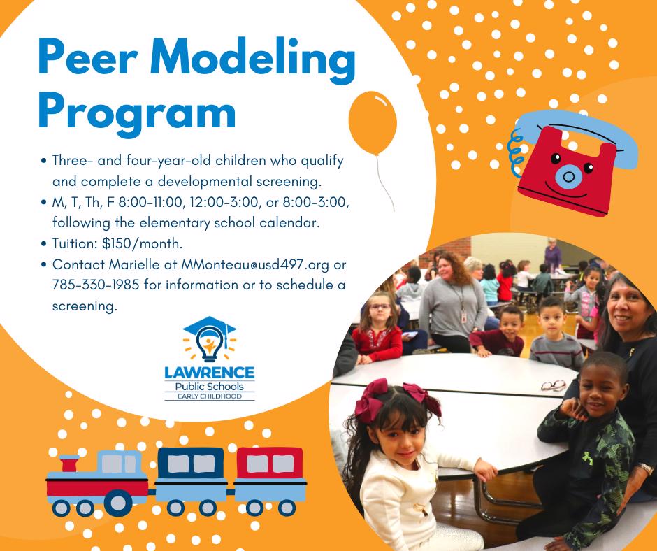 Details on the peer model program 