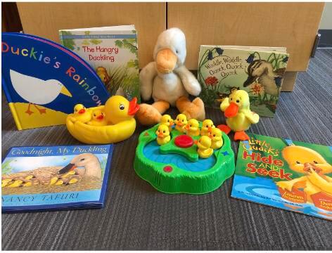 Duck books and materials