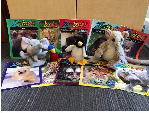Zoo books and stuffed animals
